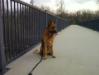 Relaxing on the bridge