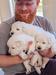 Litter mates 2