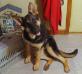 Grace at 6 months