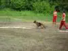 22 05 2010 Zagreb in GSD Show