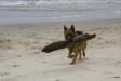 Raul on the beach