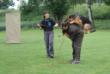 Quincy training with Owner/Breeder Ingrid