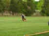 Schutzhund I
