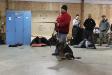 Police & Schutzhund Training