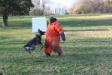 Police & Schutzhund Training