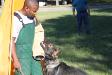 Police & Schutzhund Training