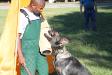 Police & Schutzhund Training