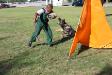 Police & Schutzhund Training