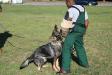 Police & Schutzhund Training