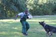 Police & Schutzhund Training