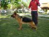 guinda 9 months