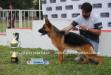 guinda SG1 Final 2010