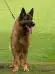 Veron