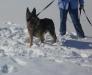 Quatsch vom Kirchberghof at 7 Years Old