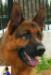 Zibo @ 19months