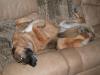 Spoiled?