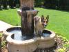 I just LOVED water