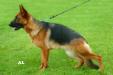 Lady 14 month
