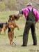 Vax of kennel "vom Haus Spark"