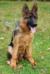 More Photos  Bastor