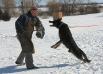 Winter training at Stateline Schutzhund Club