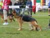 MISCHA Jacentus 11,5M