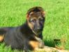 Ilka with 3 months...