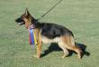 9-12 month female