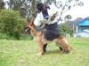 lasso