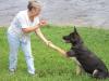 I love to shake hands !