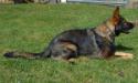 Hope at 16.5 months old