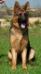 ILBO with 8 months...