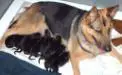 A Very proud mother 