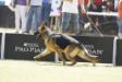Campeonato de Las Americas Guadalajara, Jalisco