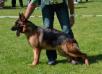 xarin in Bardowick