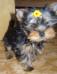 Intera Winner: 3 months old