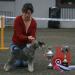 Best in  Show - Main Schnauzer Show Norway 2007