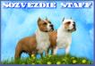 iz Sozvezdiya Staff