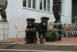 Deedee and brother