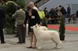 Brussels dogshow 2011