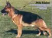 Yasko vom Farbenspiel in SV magazine 1999