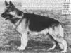 Lord von der Zigeunerschlucht