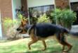 Another picture in motion