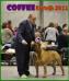 Eurodogshow Kortrijk 2011 -  CAC, CACIB, Eurodogshow Winner