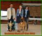 Slovakian Molosser Special Show 2012 - CAC, Club Winner, BOB, BIS