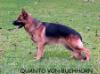 Quanto von Buchhorn