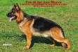 New Photo of FOX di Ca' San Marco
