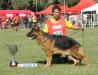 SIEGER JOVEN 2013 ARGENTINA  4 CATEGORIA MACHOS 