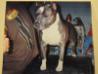 Cruise at the Greenville shows, he was about 4 yrs old - 2001
