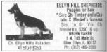 Ellyn Hill's Paladen